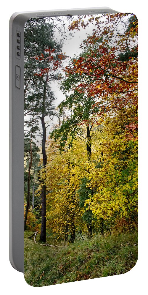Fall Portable Battery Charger featuring the photograph Fall colours of Pentland Hills. by Elena Perelman