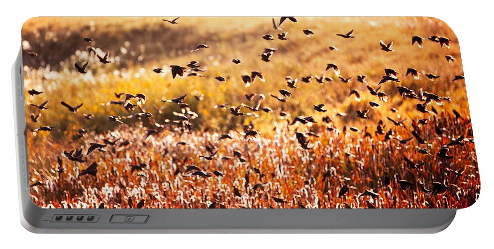 Fall Portable Battery Charger featuring the photograph Fall Flock by Todd Klassy