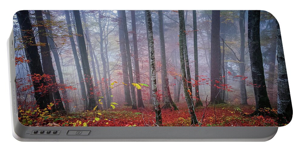 Forest Portable Battery Charger featuring the photograph Fall forest in fog by Elena Elisseeva