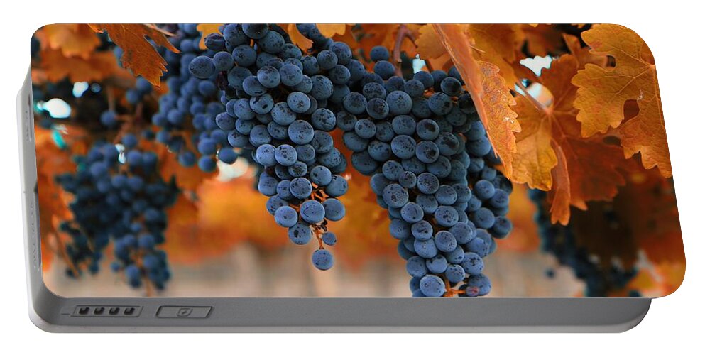 Fall Grapes Fall Colors Portable Battery Charger featuring the photograph Fall grapes Fall colors by Lynn Hopwood