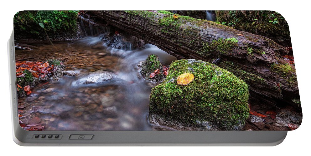 1x1 Portable Battery Charger featuring the photograph Fall In The Woods by Hannes Cmarits