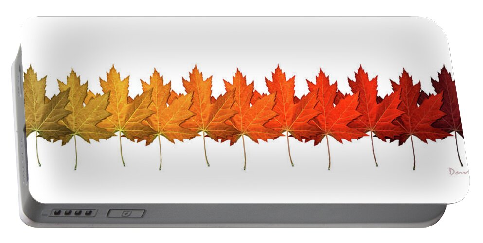Fall Portable Battery Charger featuring the digital art Fall Leaf Lineup by Dave Lee