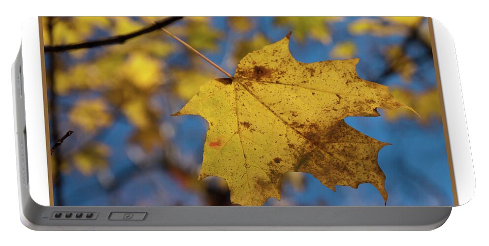 Fall Portable Battery Charger featuring the photograph Fall Leaf by Susan Cliett