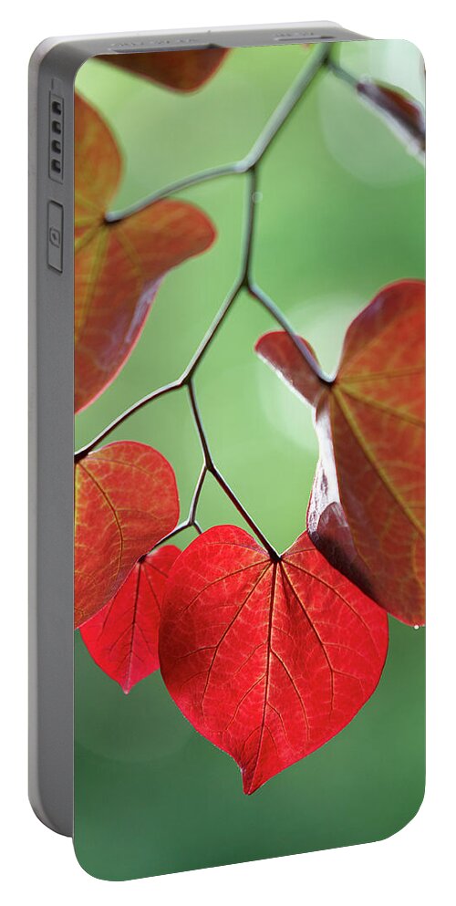 Garden Portable Battery Charger featuring the photograph Redbud by Garden Gate