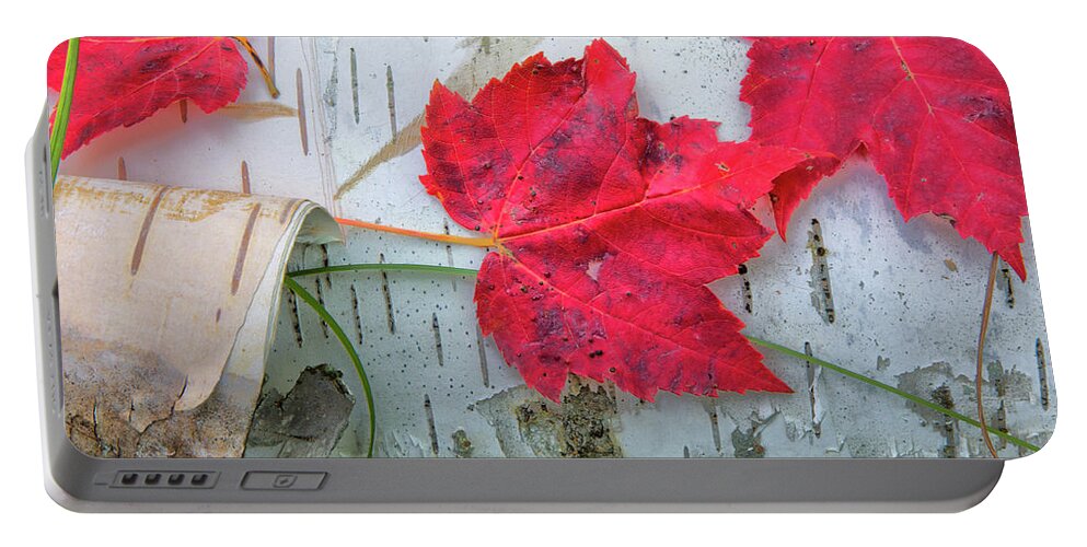 Maple Leaves Portable Battery Charger featuring the photograph Fall Leaves on Birch by Nancy Dunivin