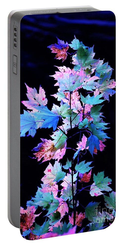 Autumn Portable Battery Charger featuring the photograph Fall Leaves1 by Merle Grenz