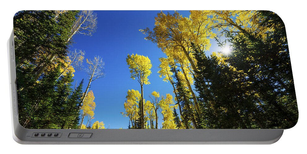 Fall Light Portable Battery Charger featuring the photograph Fall Light by Chad Dutson