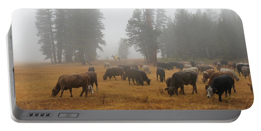 Cattle Portable Battery Charger featuring the photograph Fall Meadows by Diane Bohna