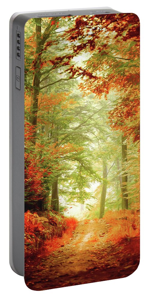 Autumn Portable Battery Charger featuring the photograph Fall painting by Philippe Sainte-Laudy