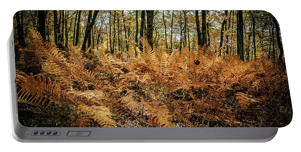 Landscape Portable Battery Charger featuring the photograph Fall Rust by Joe Shrader