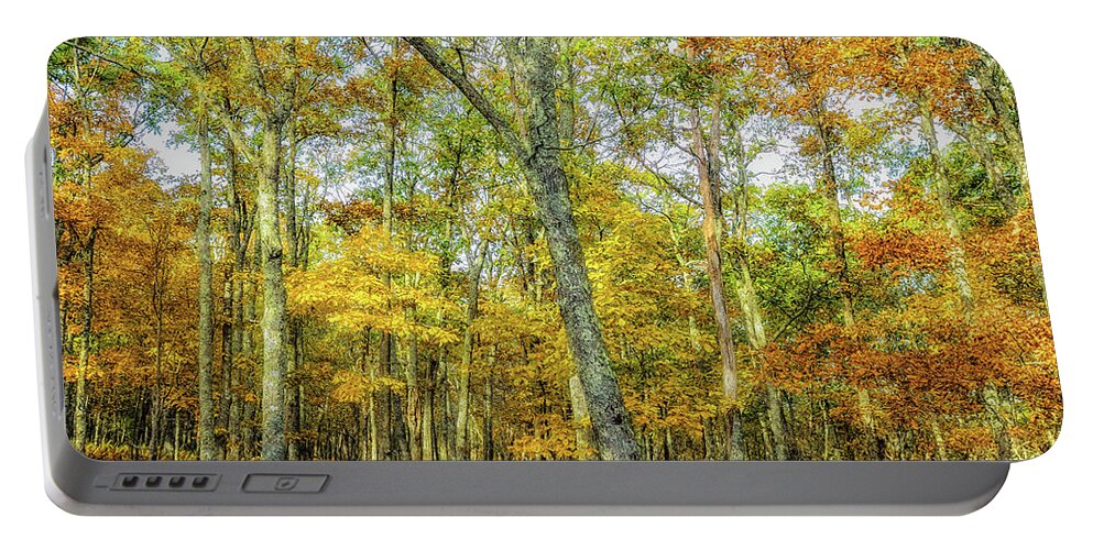 Landscape Portable Battery Charger featuring the photograph Fall Yellow by Joe Shrader