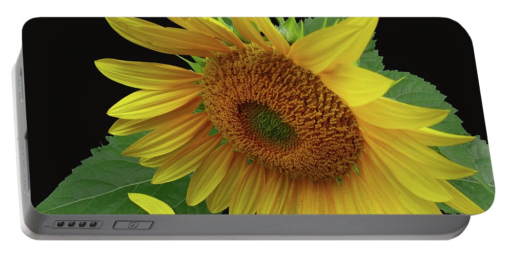 Sunflower Portable Battery Charger featuring the photograph Fallen by Douglas Stucky