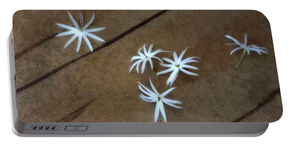 Flower Portable Battery Charger featuring the photograph Fallen Flowers by Mitch Spence