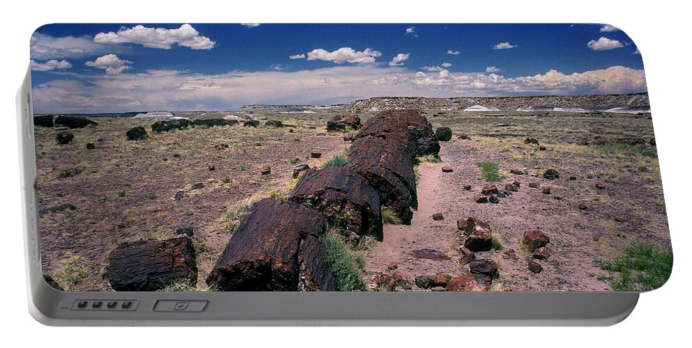 Petrified Tree Debris Portable Battery Charger featuring the photograph Fallen Petrified Tree in Petrified Forest National Park by Wernher Krutein