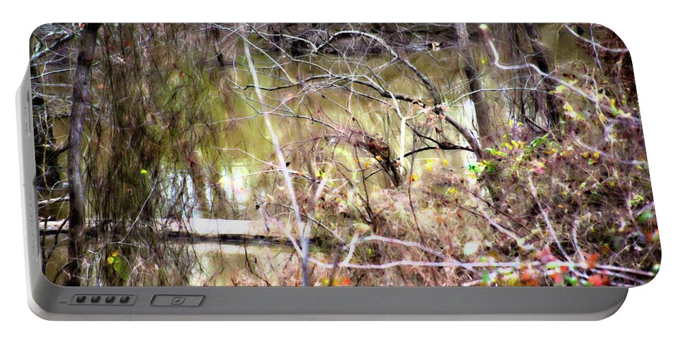 Hdr Photograph Portable Battery Charger featuring the photograph Fallen Tree in the Bayou by Gina O'Brien