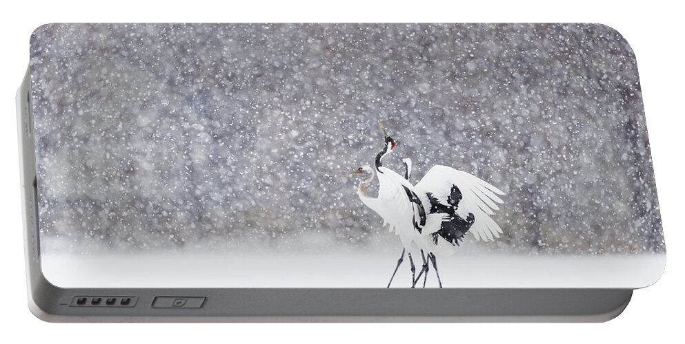 Kushiro Tancho 2016 Portable Battery Charger featuring the photograph Family Dance in the Snow by Yoshiki Nakamura