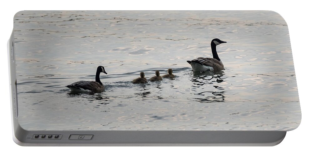 Goose Portable Battery Charger featuring the photograph Family of Canada Geese on the Ohio River by Holden The Moment