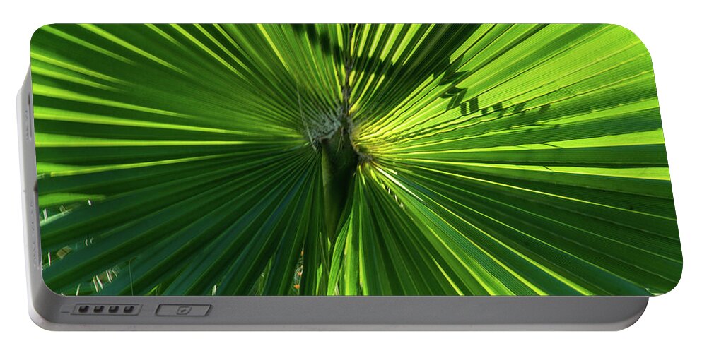 Cabo San Lucas Mx Portable Battery Charger featuring the photograph Fan Palm View by James Gay