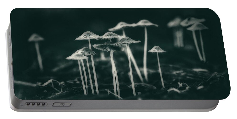 Fungus Portable Battery Charger featuring the photograph Fanciful Fungus by Tom Mc Nemar