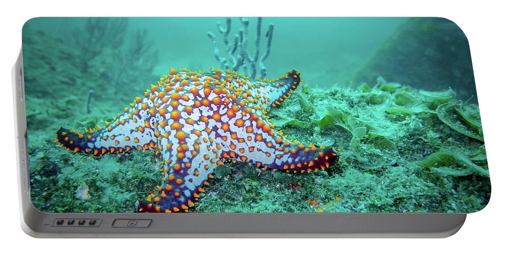 Coral Reef Portable Battery Charger featuring the photograph Fat Sea Star by Becqi Sherman