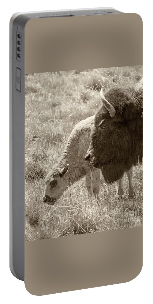 Buffalo Portable Battery Charger featuring the photograph Father and Baby Buffalo by Rebecca Margraf