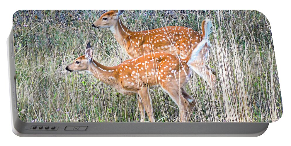 Deer Fawns Portable Battery Charger featuring the photograph Fawns at Bigfork by L J Oakes