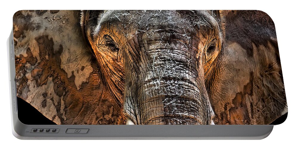 Elephant Portable Battery Charger featuring the photograph Fearless by Janet Fikar