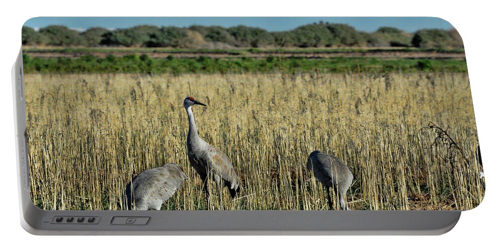 Sandhill Cranes Portable Battery Charger featuring the pyrography Feeding Greater Sandhill Cranes by Daniel Hebard