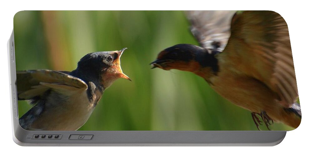 Birds Portable Battery Charger featuring the photograph Feeding Time by Sumoflam Photography