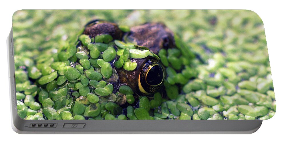 Skompski Portable Battery Charger featuring the photograph Feeling Froggy by Joseph Skompski