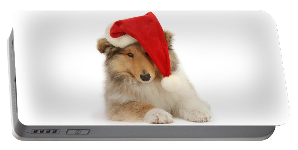 Rough Collie Portable Battery Charger featuring the photograph Feeling Rough this Christmas by Warren Photographic