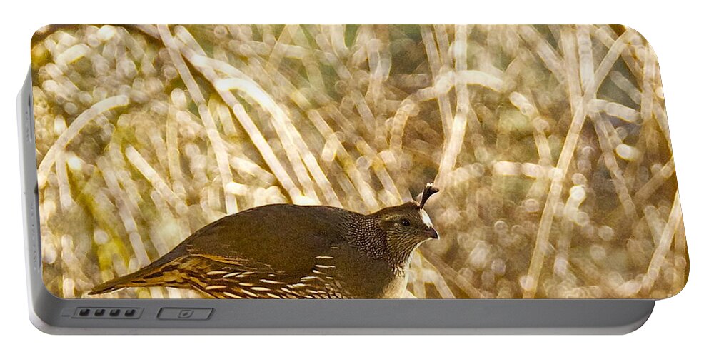 Photography Portable Battery Charger featuring the photograph Female California Quail by Sean Griffin