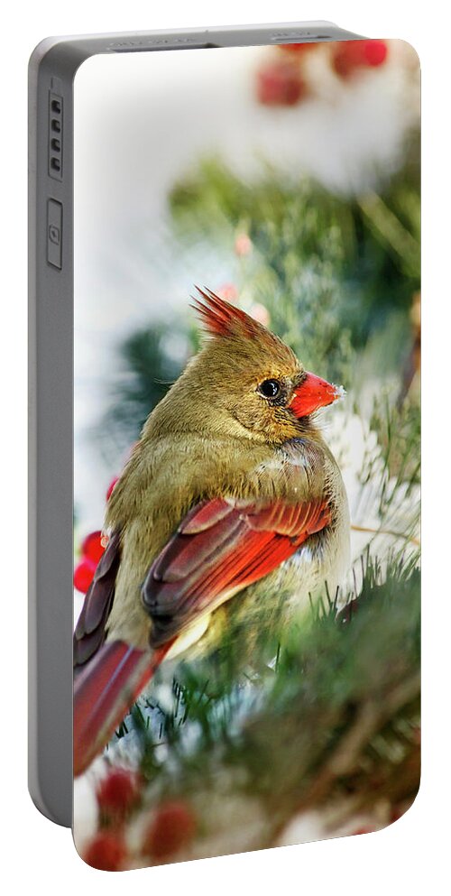 Cardinal Portable Battery Charger featuring the photograph Female Northern Cardinal by Christina Rollo