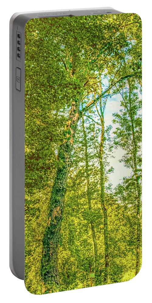 Tree Portable Battery Charger featuring the photograph Female tree. by Leif Sohlman