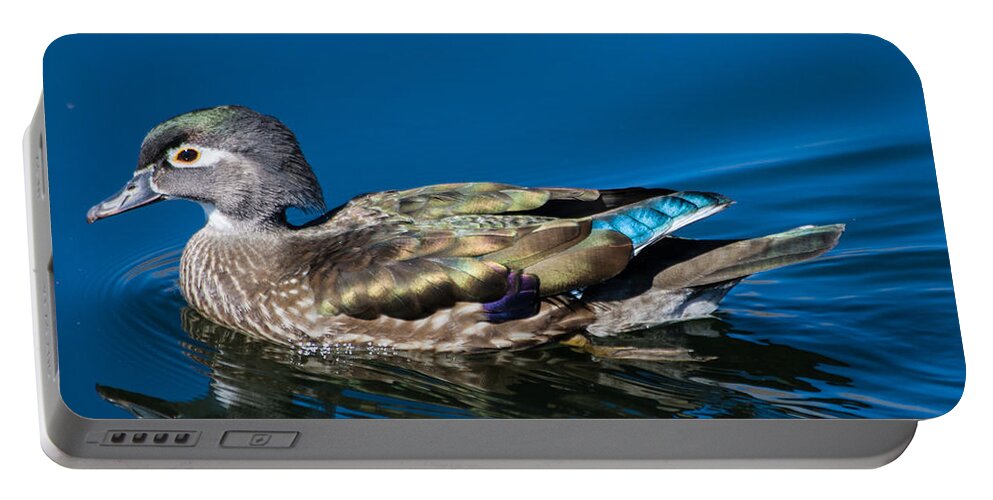 Wood Duck Portable Battery Charger featuring the photograph Female Wood Duck by Mindy Musick King