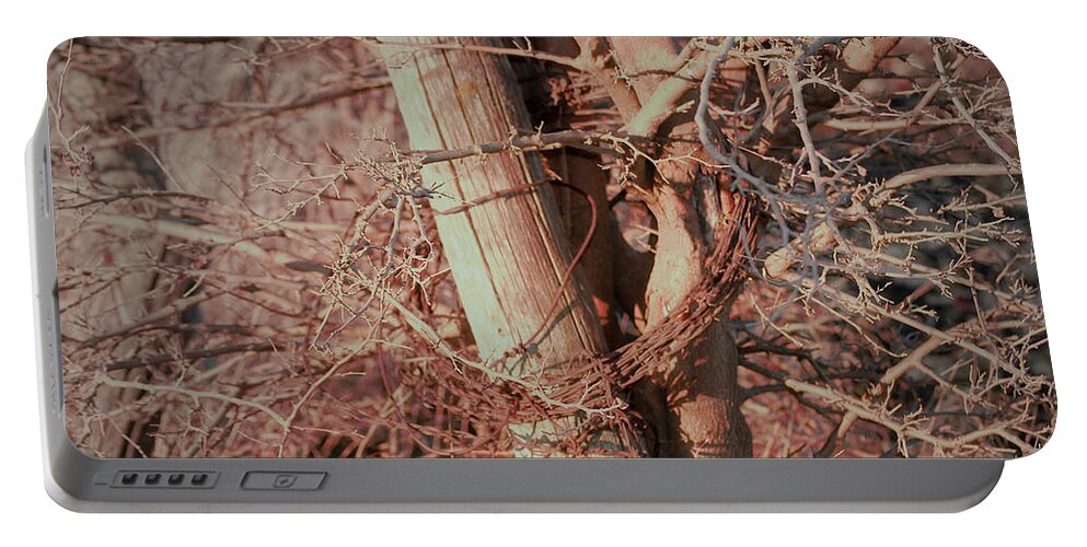 Fence Portable Battery Charger featuring the photograph Fence Post Buddy by Troy Stapek