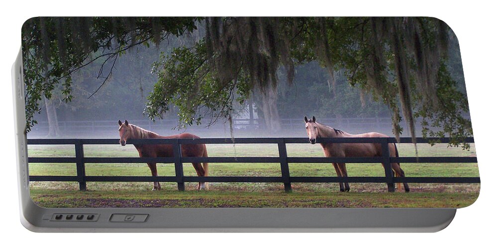 Horses Portable Battery Charger featuring the photograph Fenced In by Jerry Griffin