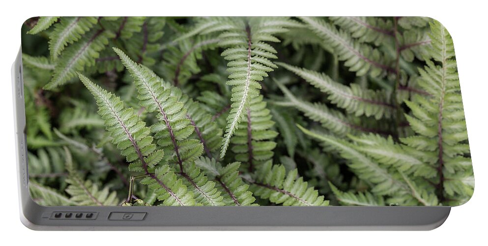 Fern Portable Battery Charger featuring the photograph Fern by Eva Lechner