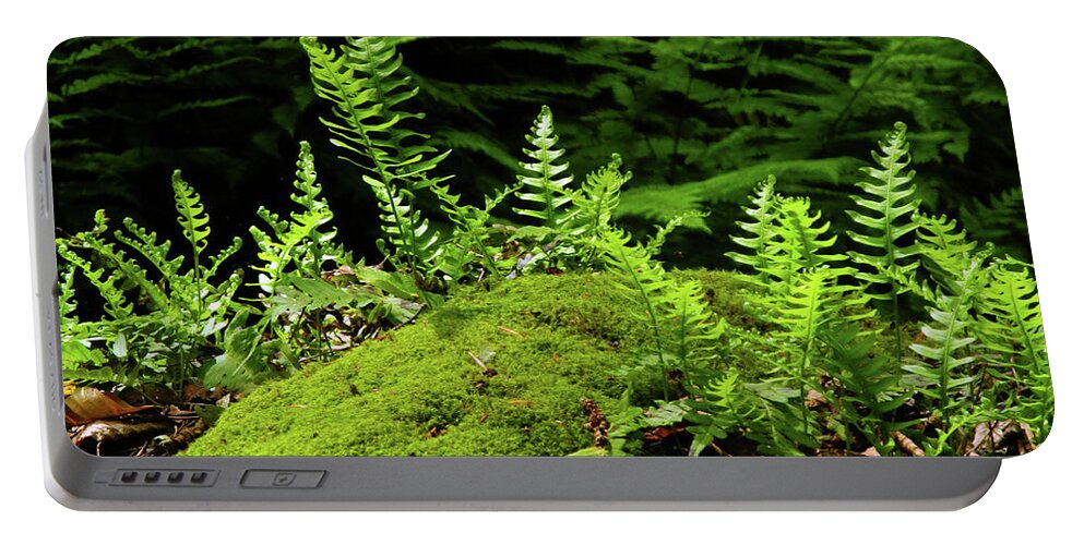 Ferns And Moss On The Ma At Portable Battery Charger featuring the photograph Ferns and Moss on the MA AT by Raymond Salani III