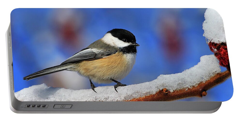 Black-capped Chickadee Portable Battery Charger featuring the photograph Festive Chickadee by Tony Beck