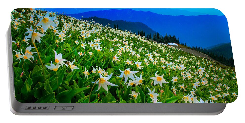 America Portable Battery Charger featuring the photograph Field of Avalanche Lilies by Inge Johnsson