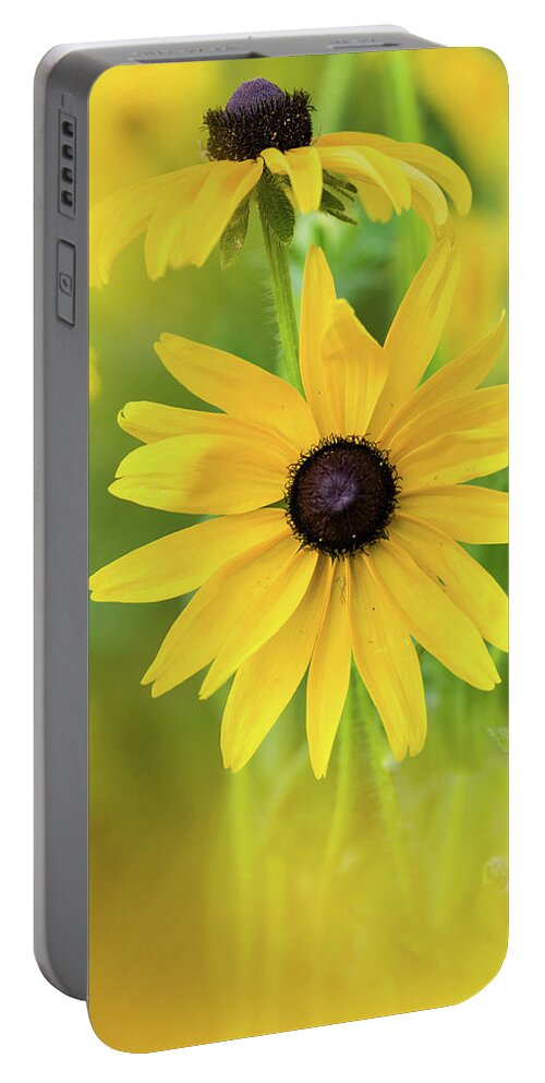 Flower Portable Battery Charger featuring the photograph Field of Dreams by Jody Partin