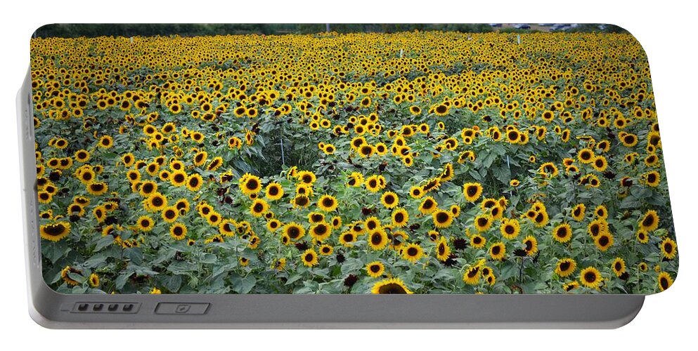 Flowers Portable Battery Charger featuring the photograph Field of flowers by Joseph Caban