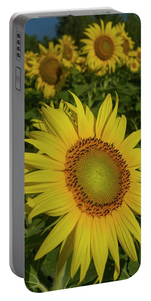 Flowers Portable Battery Charger featuring the photograph Field of Sunflowers by Garry McMichael