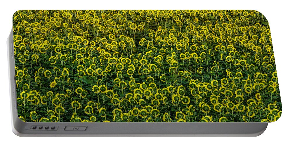 Sunflowers Portable Battery Charger featuring the photograph Field of sunflowers by Wolfgang Stocker