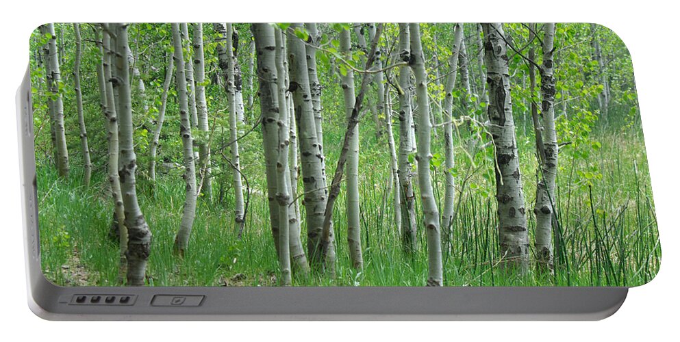 Tree Portable Battery Charger featuring the photograph Field Of Teens by Donna Blackhall