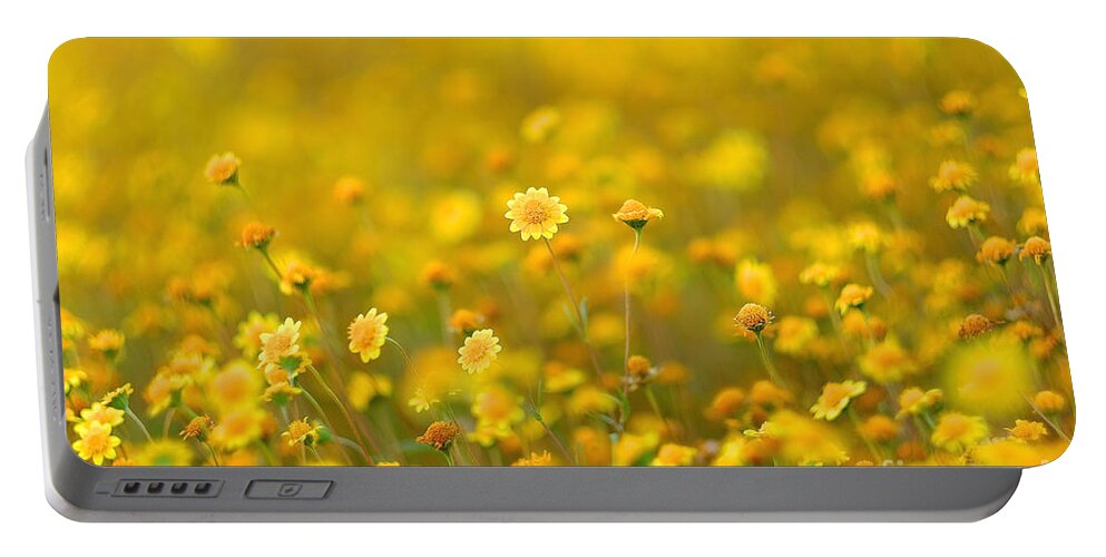 Wildflowers Portable Battery Charger featuring the photograph Fields of Gold by Parrish Todd