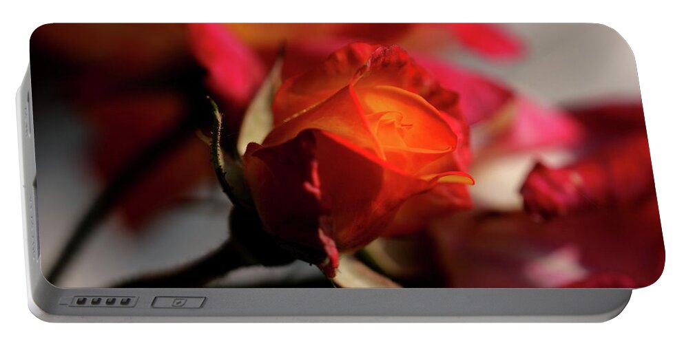 Rose Flower Bokeh Red Orange Flame Portable Battery Charger featuring the photograph FieryRose by Ian Sanders