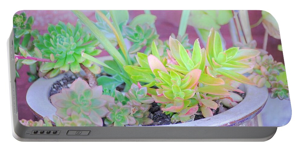 Pot Portable Battery Charger featuring the photograph Filled with Color by Merle Grenz