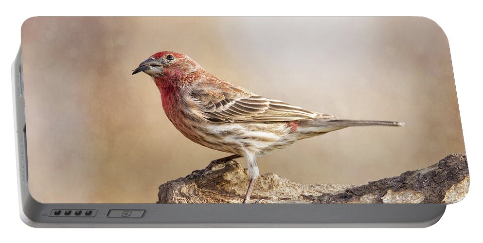 Chordata Portable Battery Charger featuring the photograph Finch On Pastel Pinks by Bill and Linda Tiepelman